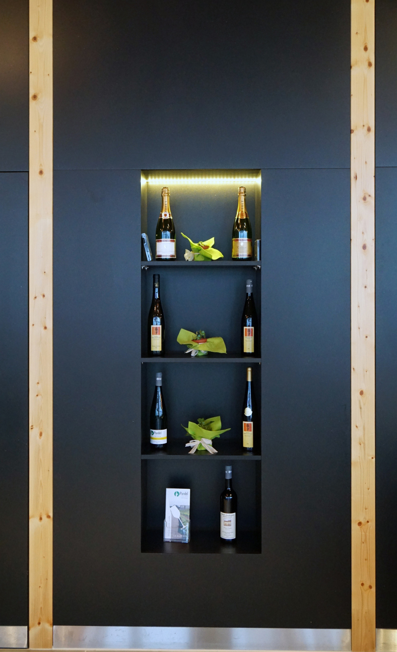 PUNDEL VINS PURS