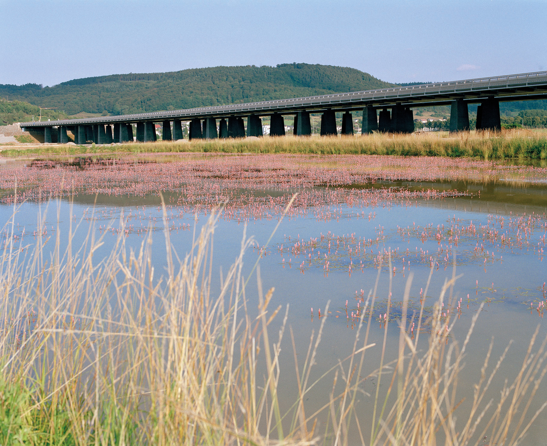 VIADUC